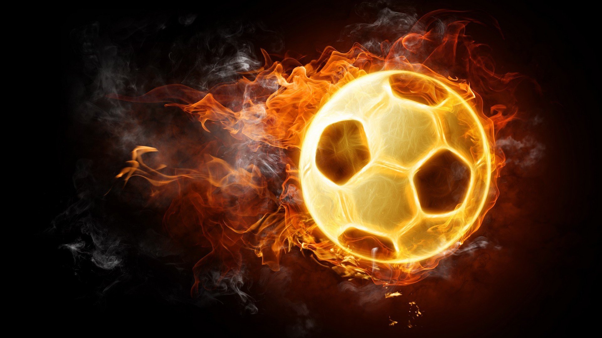 伊朗马术协会与国际马术联合会合作，举办国际马术交流活动，促进技术交流。